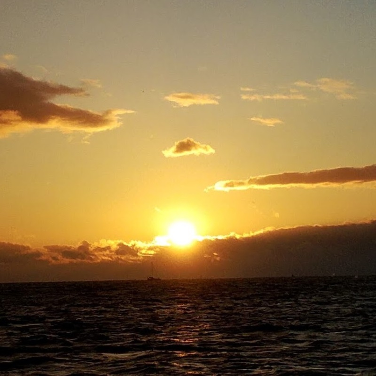 Ac62bd4cc3b3412d2ff95a055ed406b5.jpg?sr.dw=286&sr