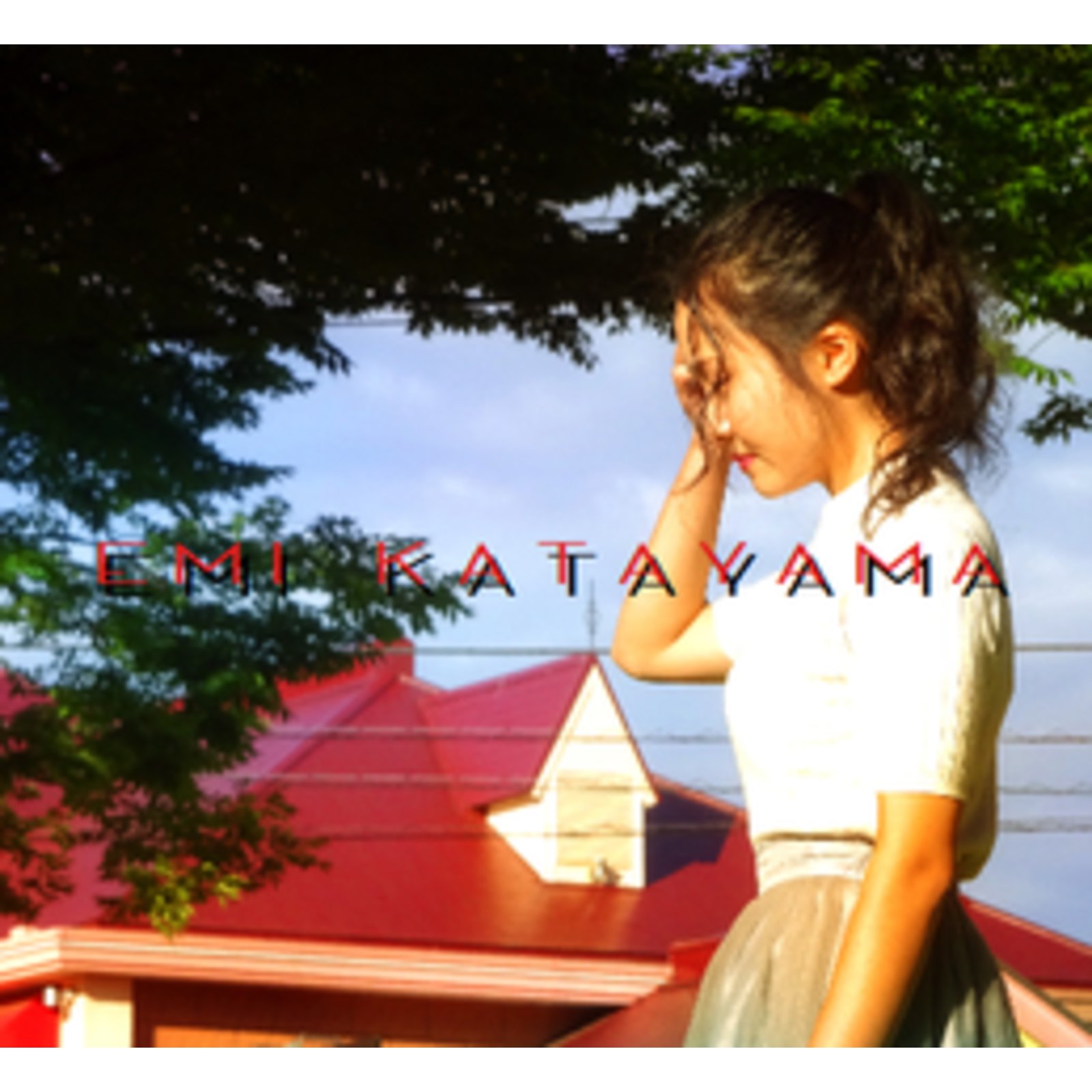 片山 恵