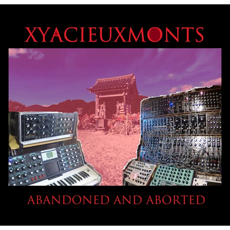 洋楽 MR.APHILYATED/MISCELLANEOUS Amazon.com: Avedis Zildjian Company FX Trashformer - 10
